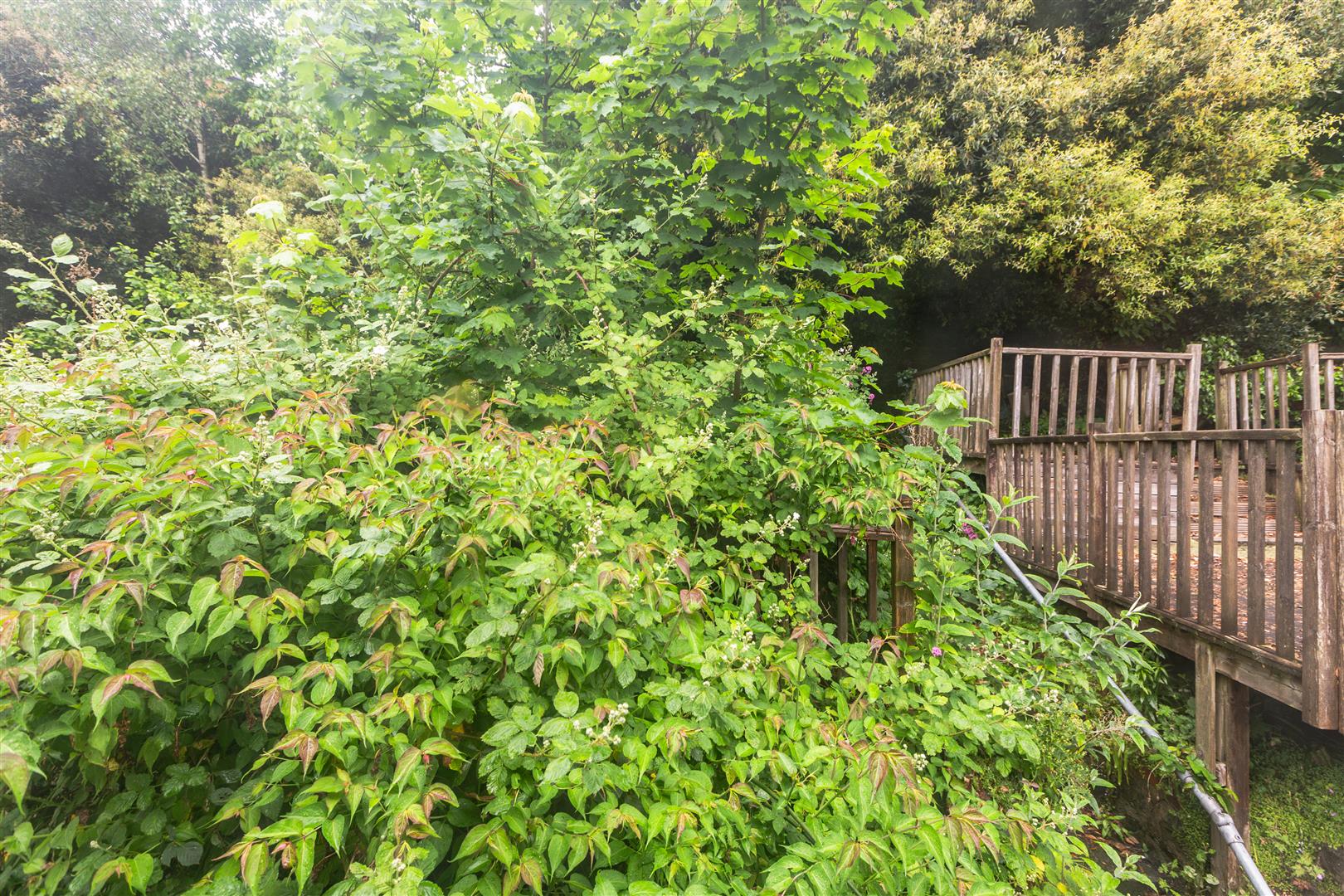 Westbury Street, Swansea, SA1 4JN